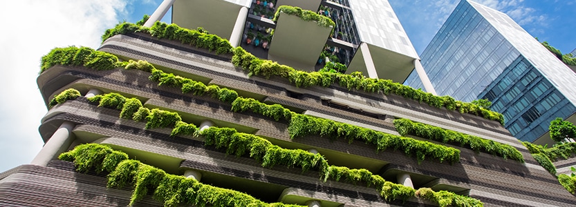 Sustainability: The conservational trend in hospitality